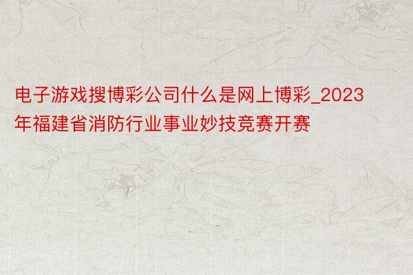 电子游戏搜博彩公司什么是网上博彩_2023年福建省消防行业事业妙技竞赛开赛